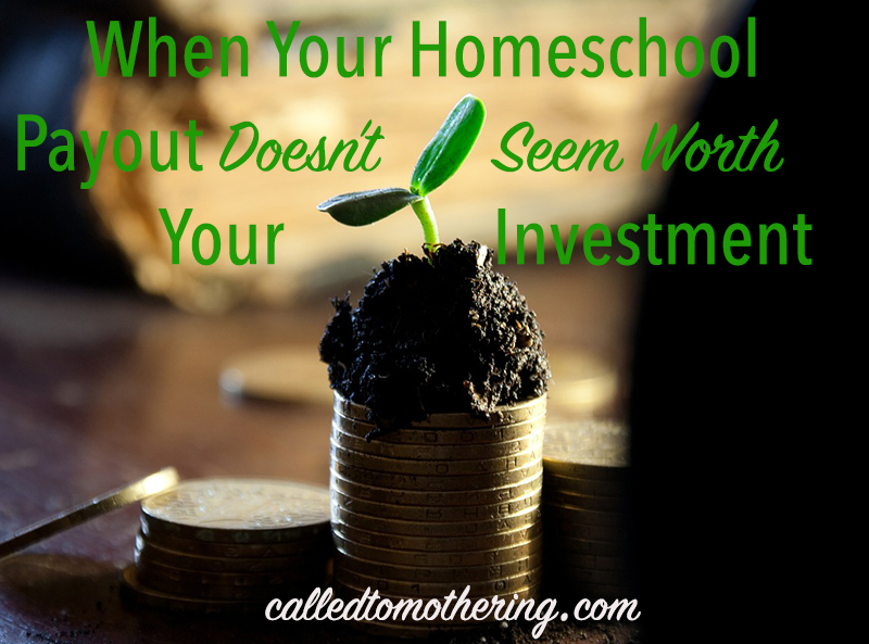 When Your Homeschool Payout Doesn’t Seem Worth Your Investment