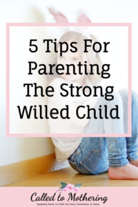 5 Tips For Parenting The Strong Willed Child – Called To Mothering